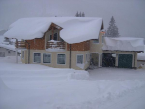 Отель Appartement Auwald, Форстау